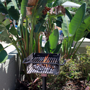 Outdoor grill area