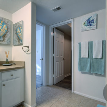 Master Bathroom & entrance in spacious walk-in closet