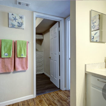 Master Bathroom & entrance in spacious walk-in closet