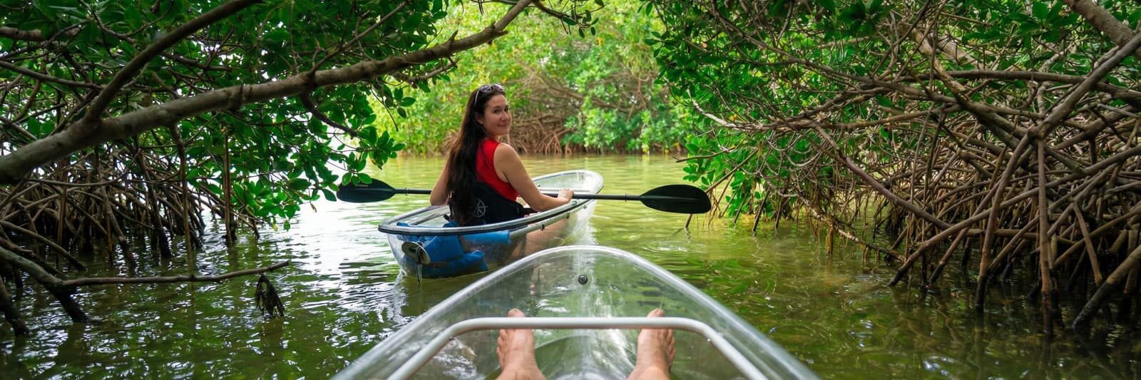 Clear kayak tour through mangroves near Shell Key Preserve