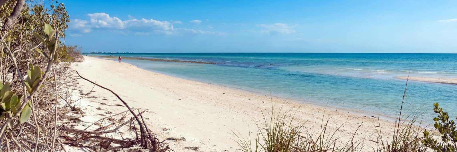 Quiet beach near Clearwater Beach with white sand and calm Gulf water